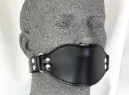 Ball Gag with Mouth Cover